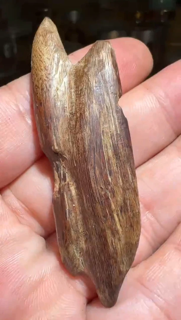 沉香沉香碎屑莱特4克