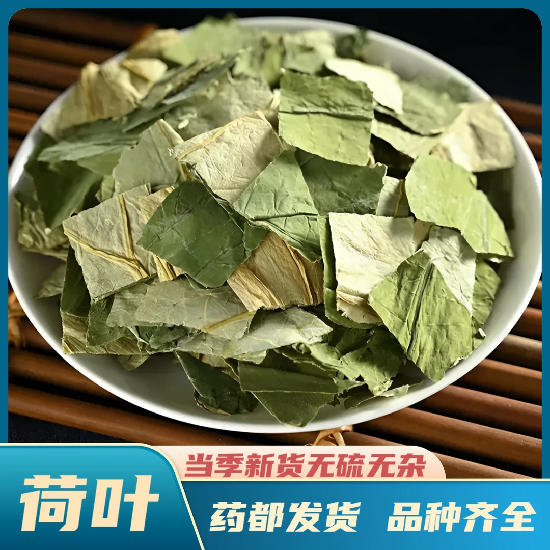 【荷叶】精选道地产区荷叶夏季好物优选新鲜手工干净甄选高品质产品