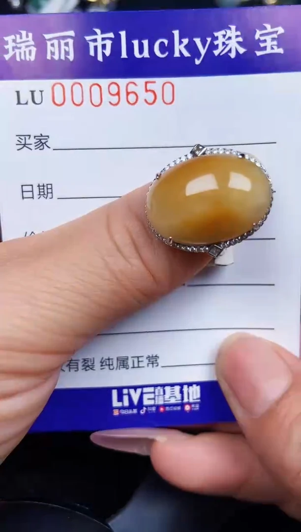 翡翠银S925镶嵌颈饰9650