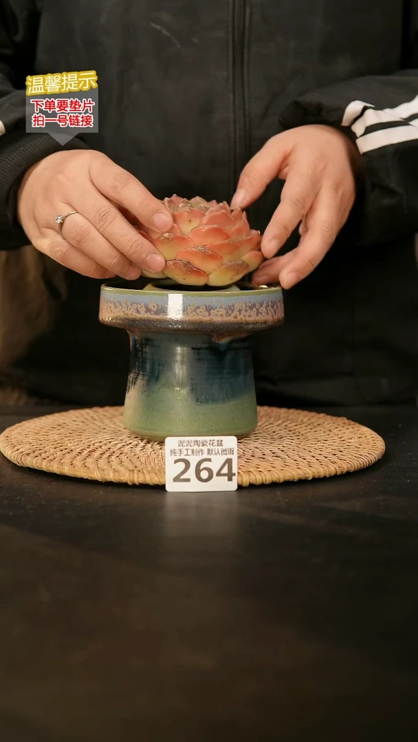 瓷片264内口径约11外高约11