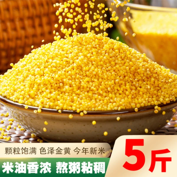 (1)保证2024年新米赤峰金苗小米5斤装可以试吃黄小米新米