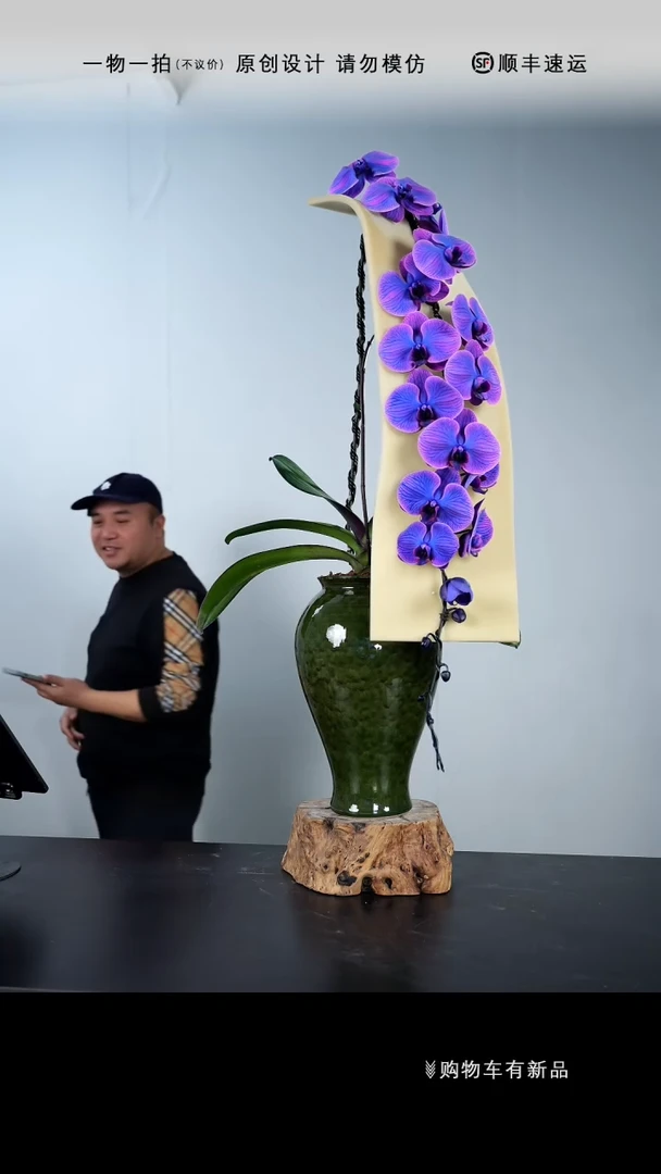 【闪购商品】135号链接【一物一拍】艺术盆景