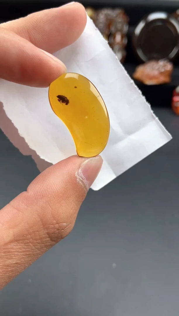 【闪购商品】琥珀颈饰未镶嵌虫珀