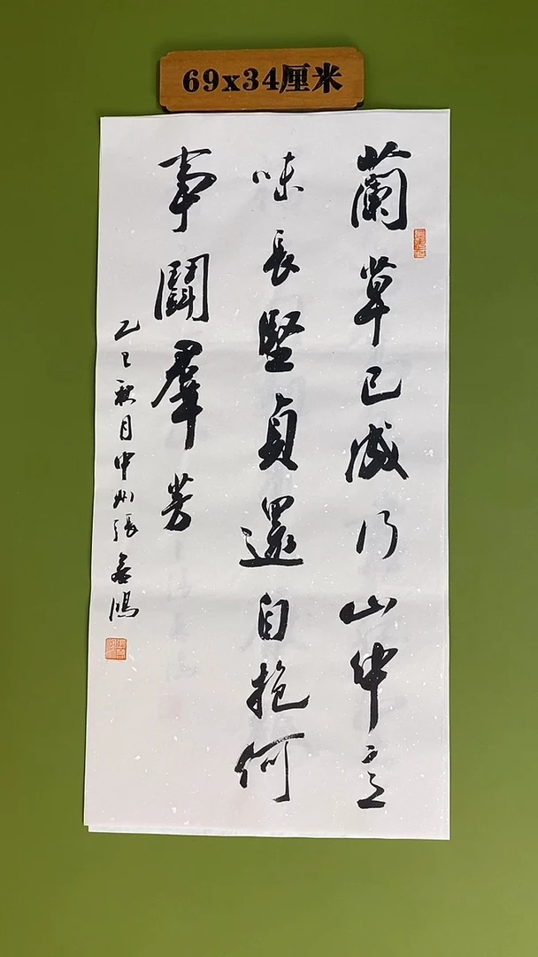 书法书法 张若鸿 尺寸69cm*34cm