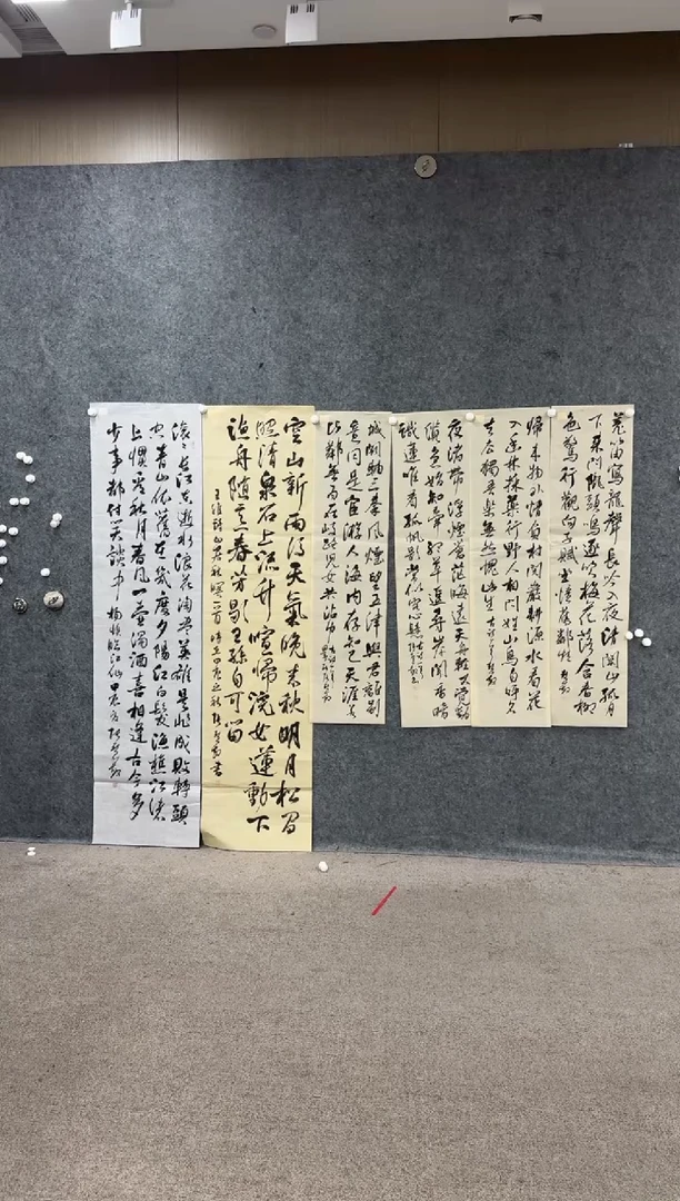 【闪购商品】书法pmw不二轩旗舰店ZHM书法8