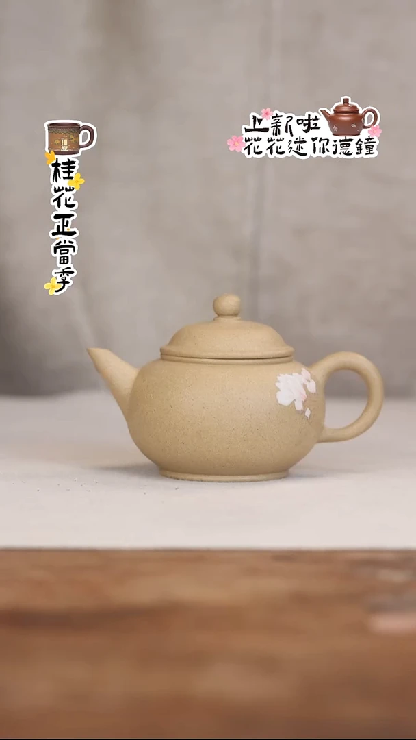 茶壶紫砂段泥玉兰水平