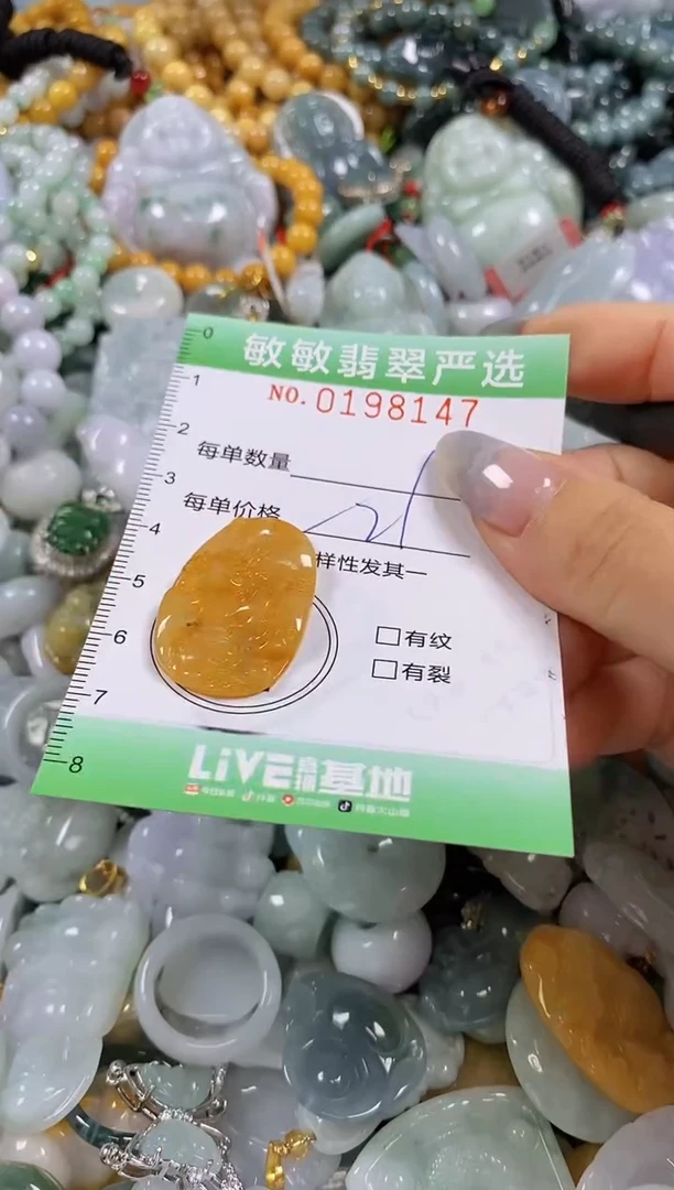 翡翠未镶嵌颈饰闪购0198147多样性发其一