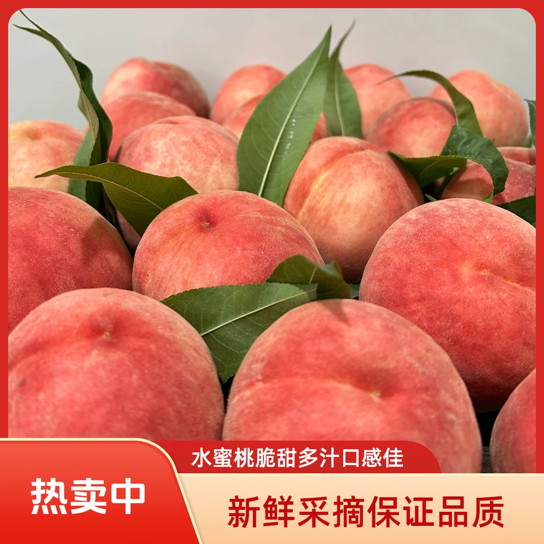 【高山脆桃/新鲜现摘】正宗四川成都龙泉高山脆桃应季水果3-5斤XL