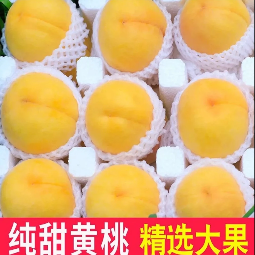 【京东/顺丰】头茬山东蒙阴黄桃锦香黄毛桃新鲜脆甜现摘现发W-3