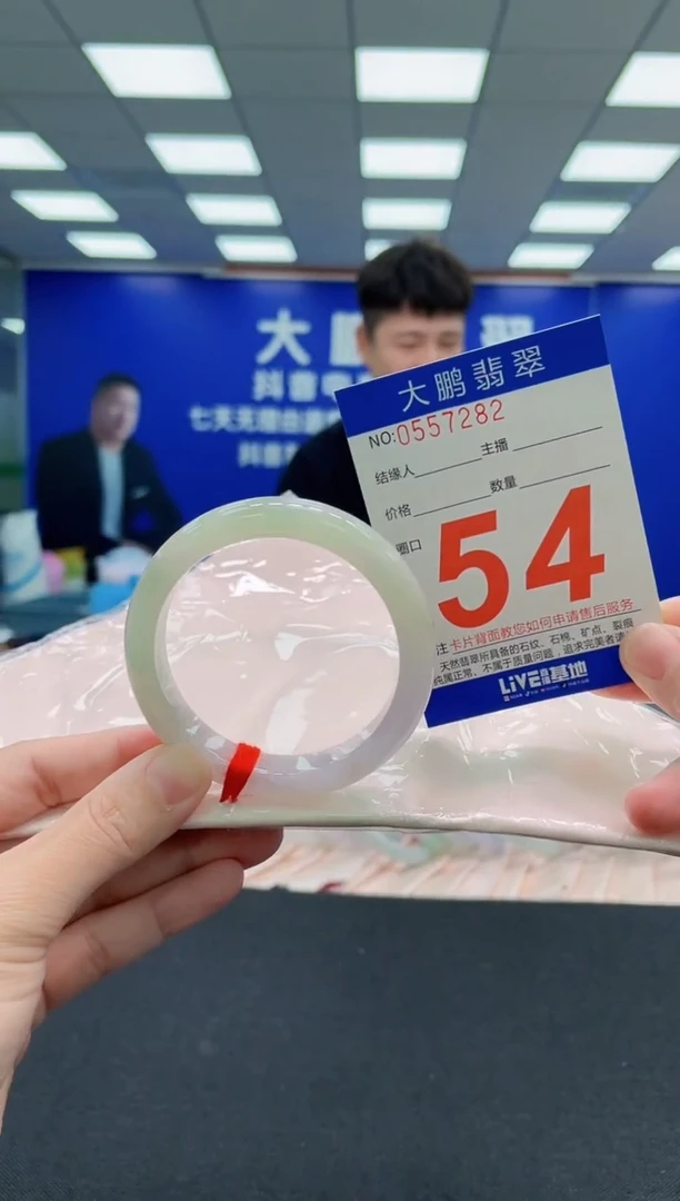 未镶嵌手镯翡翠AAAAAAAAA