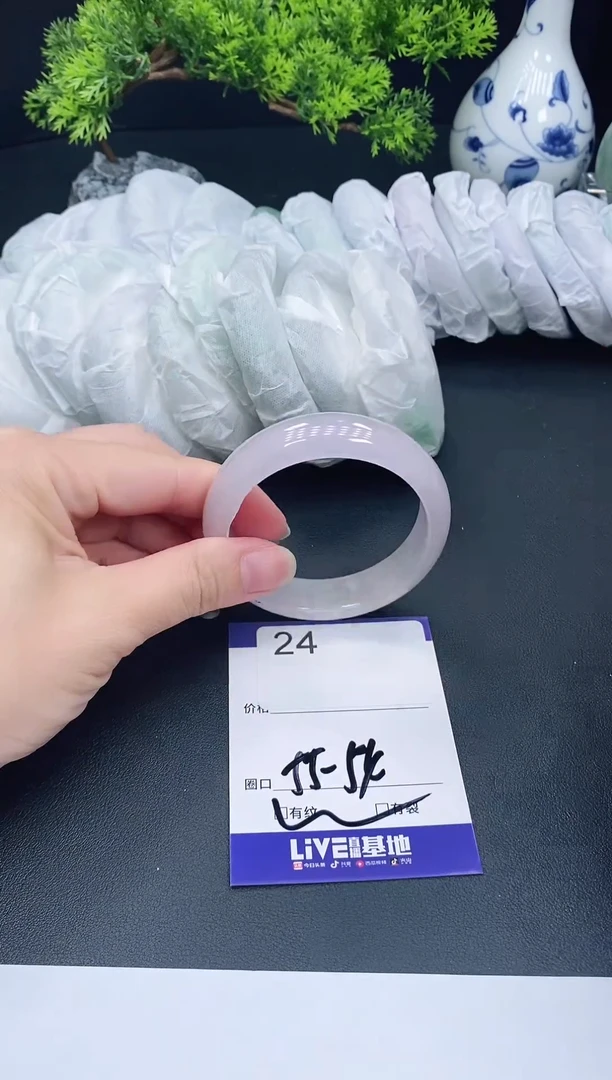 未镶嵌手镯翡翠24