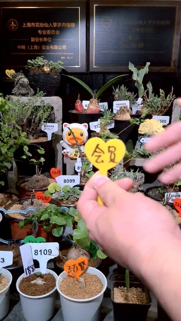 号1224福利植物打包