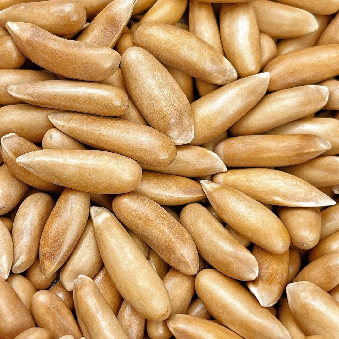 【A+精选2200中颗粒升级装】新货巴西精选中颗粒松子无盐原味阿富汗