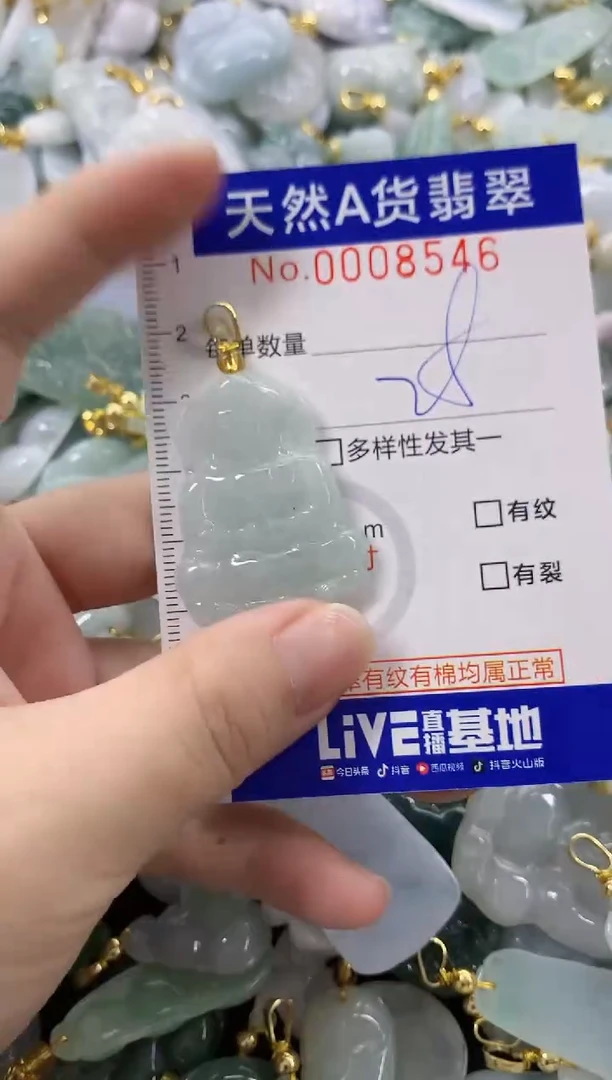 颈饰未镶嵌翡翠天然A货翡翠