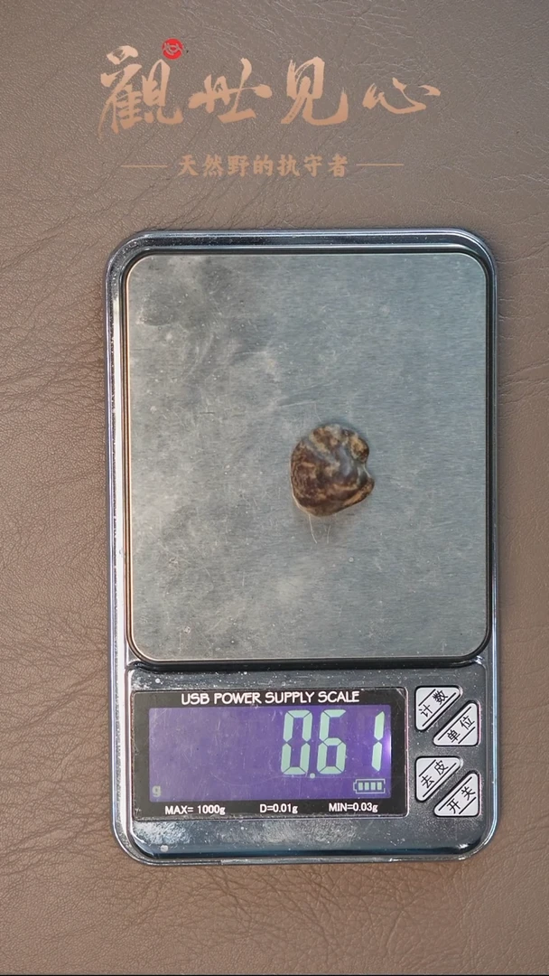 沉香沉香碎屑东马留疤料   0.61g 沉水