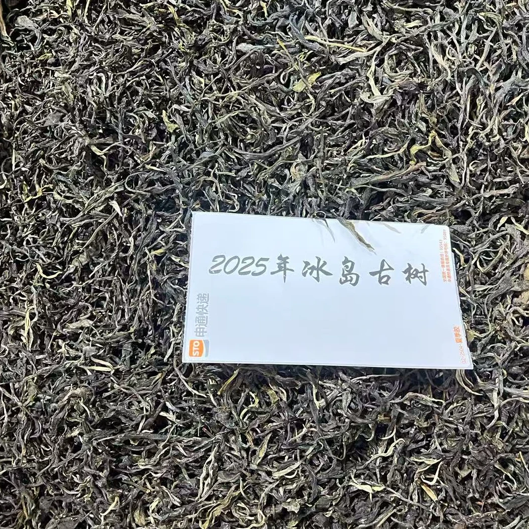 云南普洱生茶2025年冰岛古树生茶散料100克