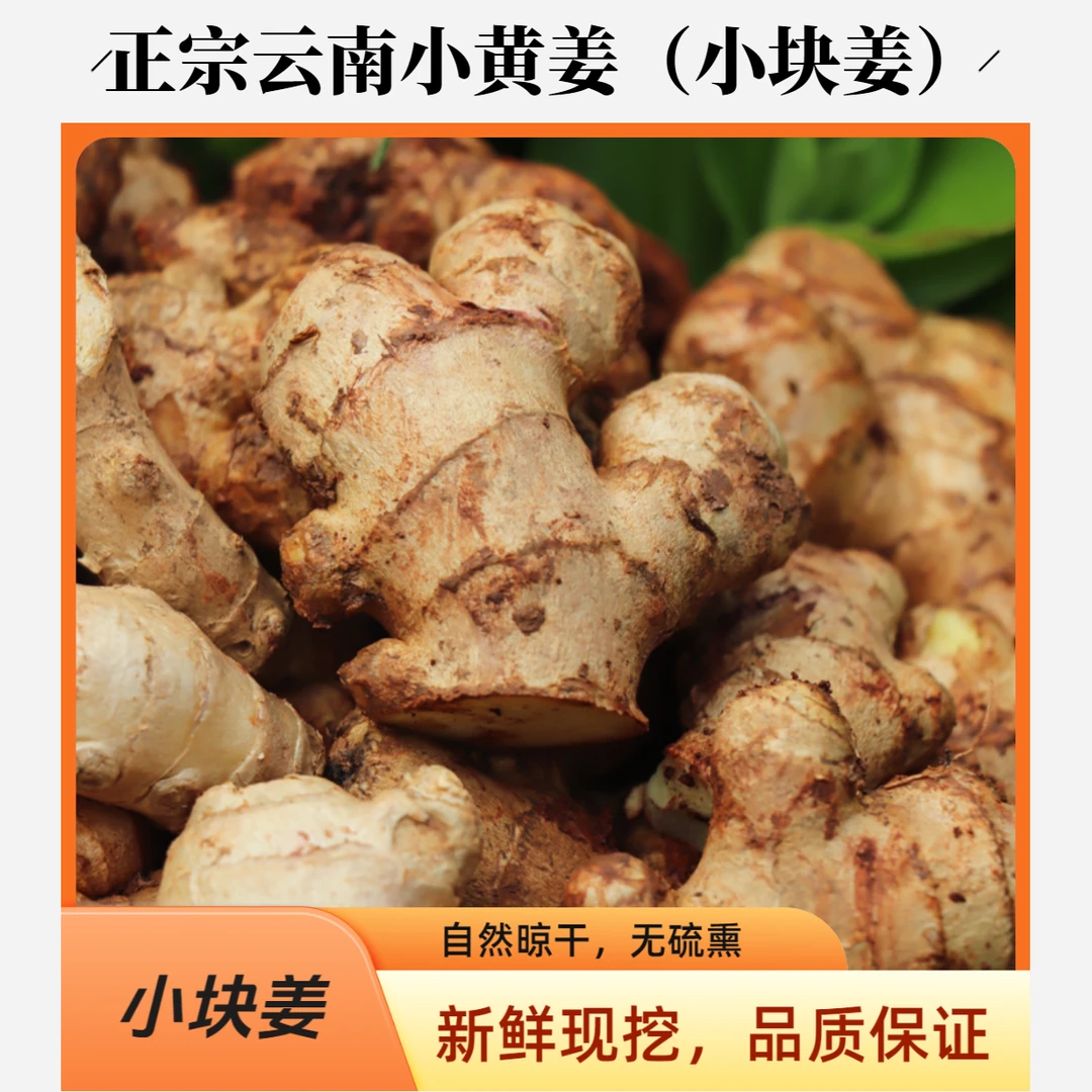 云南高山新鲜现挖农家自种老姜云南新鲜月子姜老姜正宗云南小黄姜