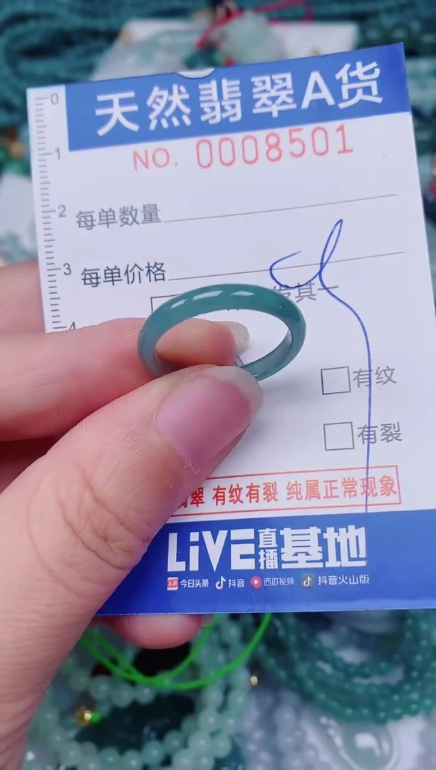 颈饰未镶嵌翡翠00008501