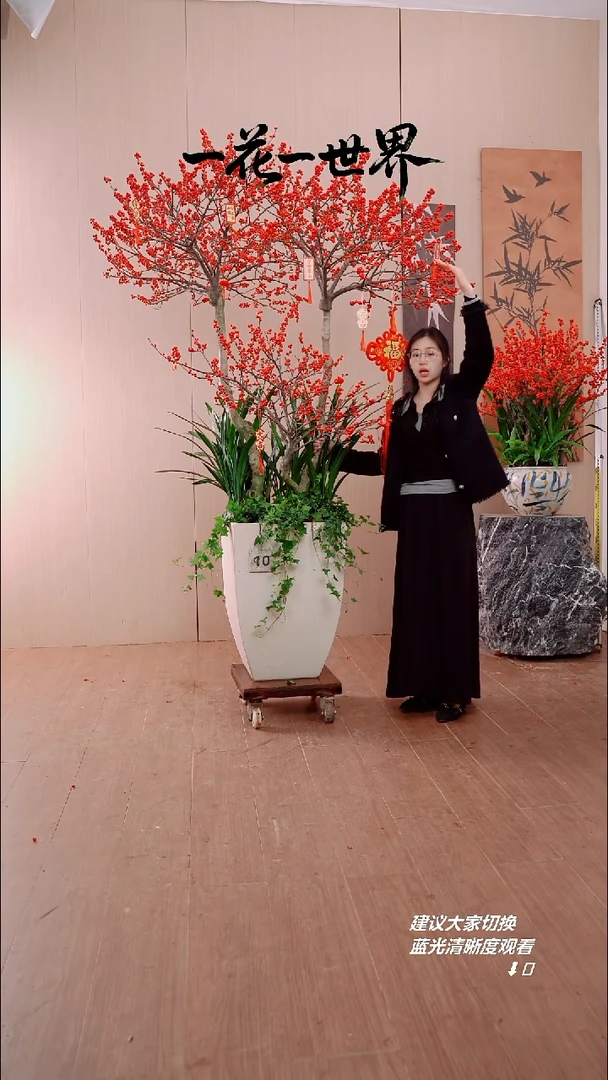 完全开放不**心冬青链接