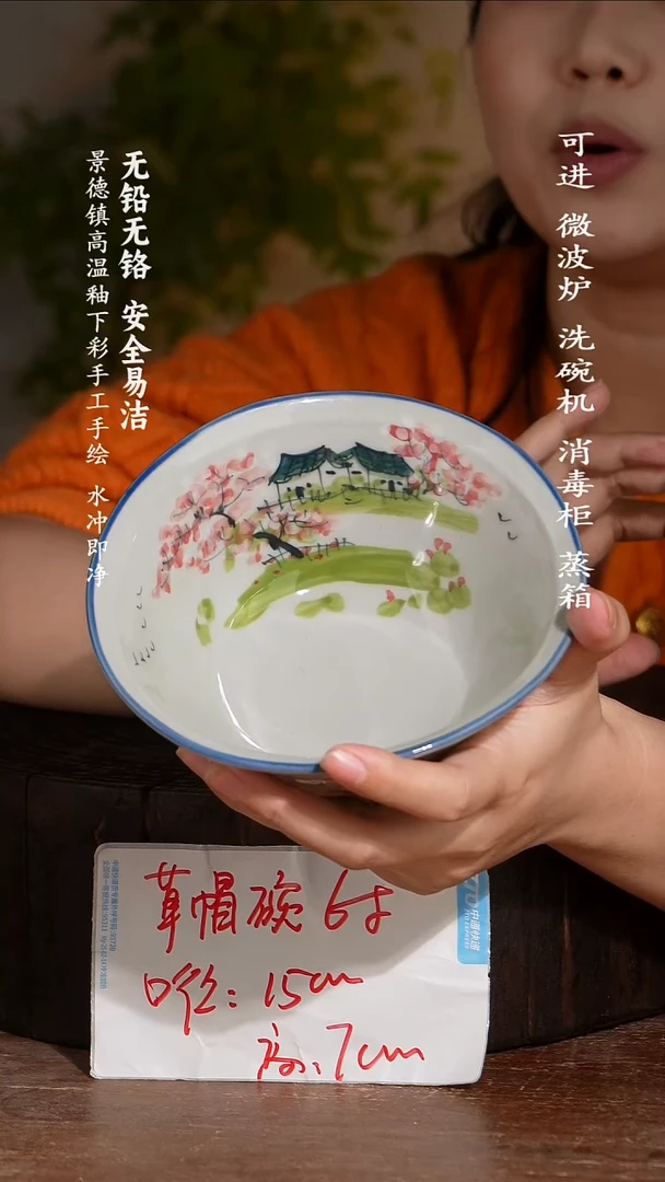 碗陶瓷景德镇高温瓷釉下彩手绘陶瓷