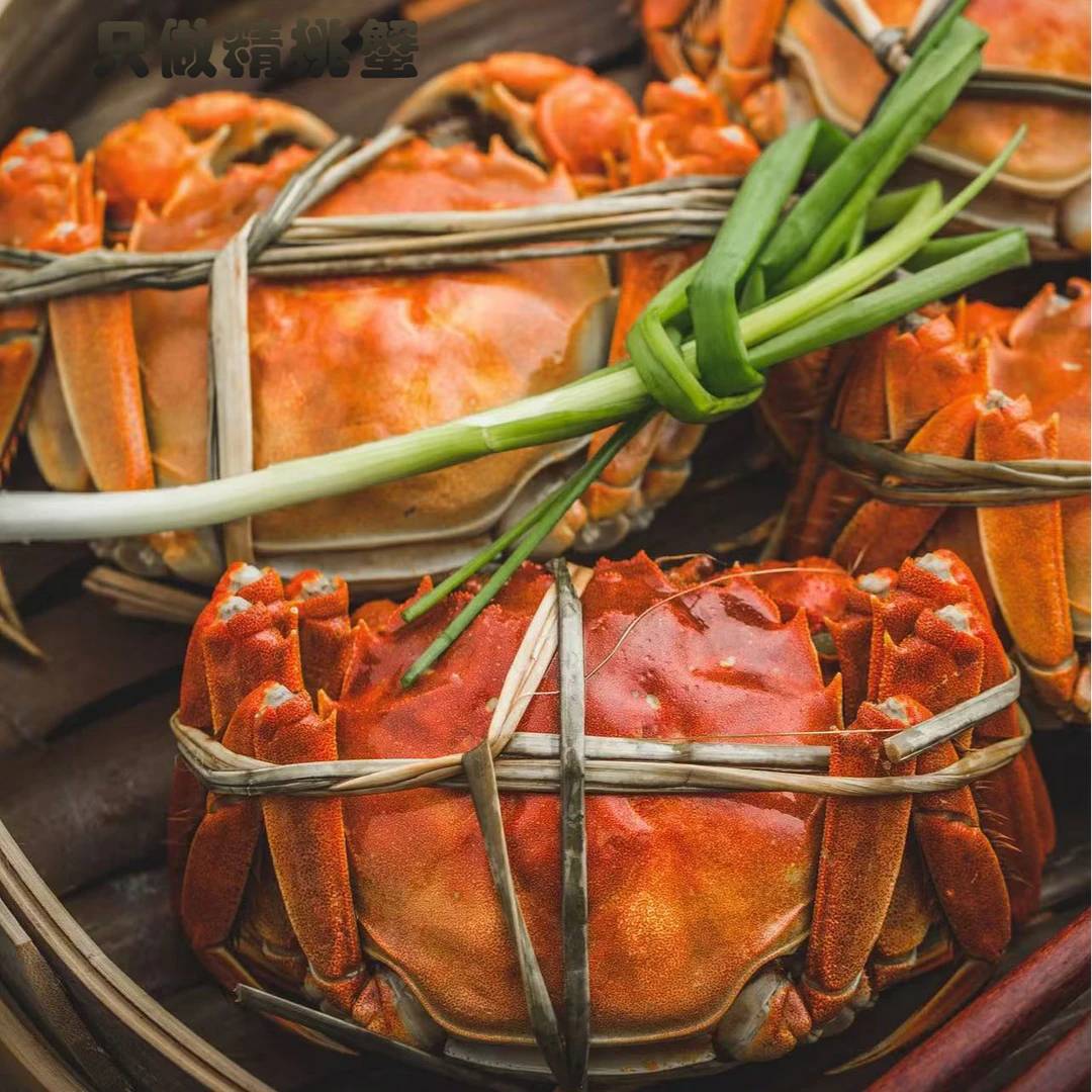 螃·蟹 母蟹3.0两/3.5两精品蟹8/10只 顺丰/京东冷链 赠吃蟹工具精美礼盒 青蟹