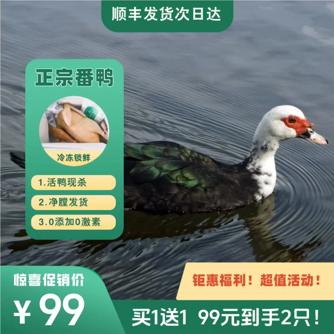 【番鸭2只装】农家山塘放养土番鸭 2只净膛9-10斤  顺丰冷链直达