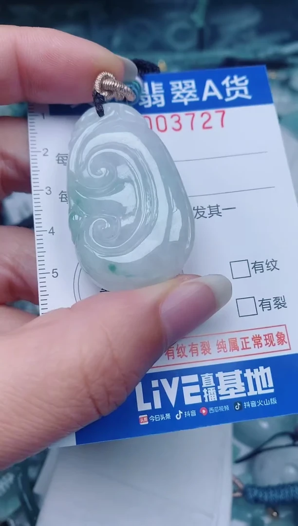 颈饰未镶嵌翡翠00003727