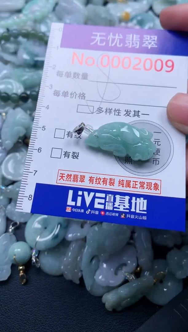 颈饰未镶嵌翡翠2009