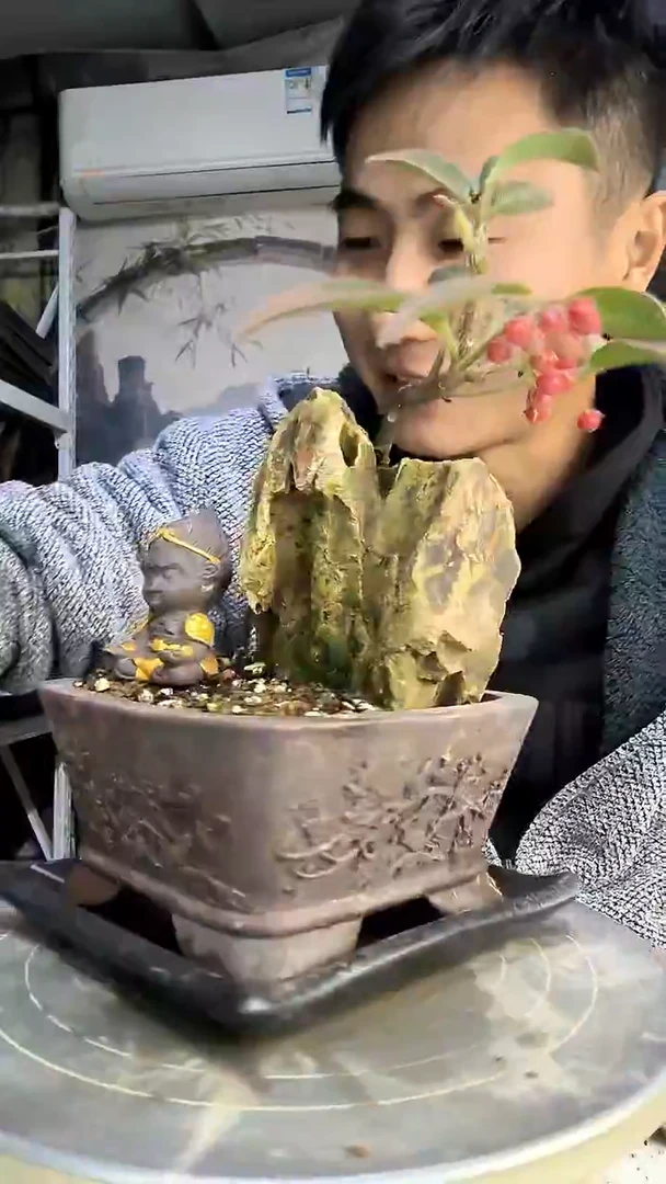掌*的中青园艺一物一拍83