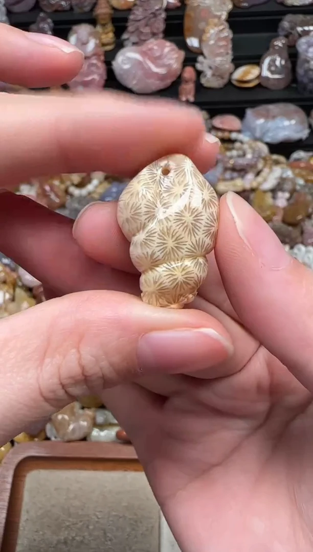 颈饰未镶嵌硅化珊瑚（珊瑚玉）671