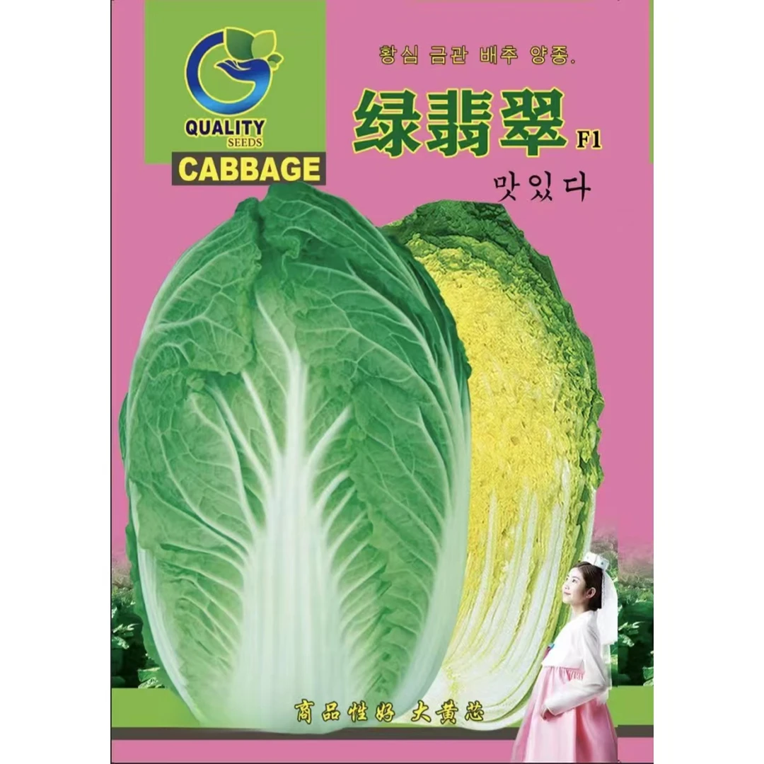 绿翡翠白菜种子大棵抗根肿大黄芯菜，高产 高抗 商品性好