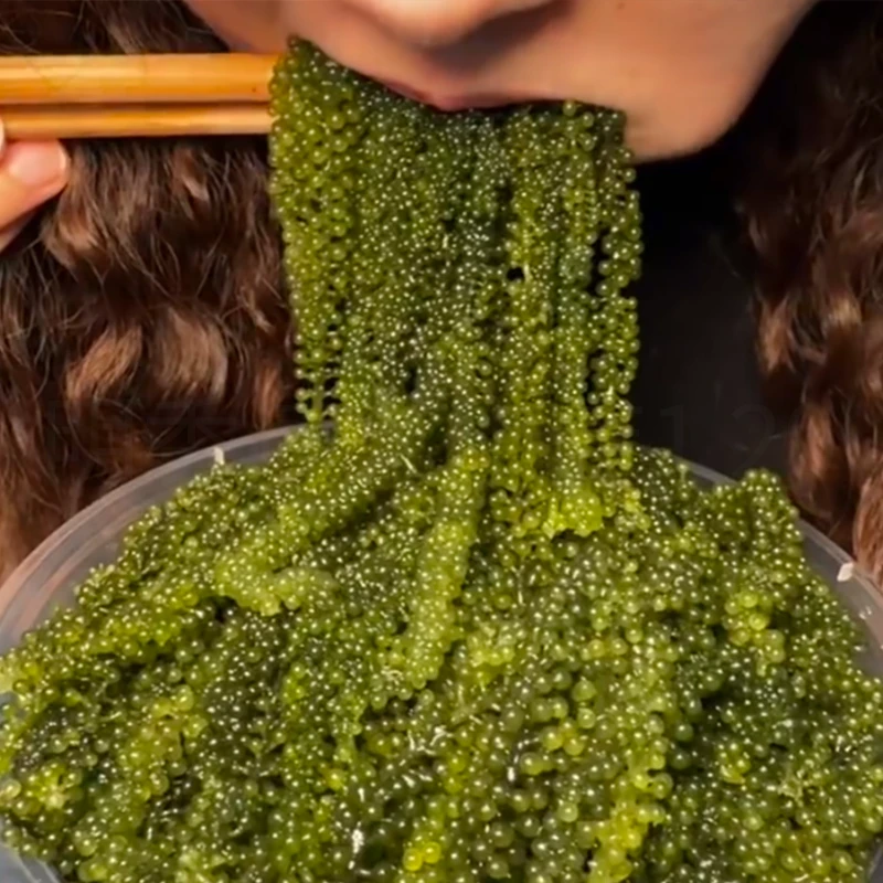 海葡萄美味海藻水网红美食吃播流量密码速食小孩吃的凉拌菜零食