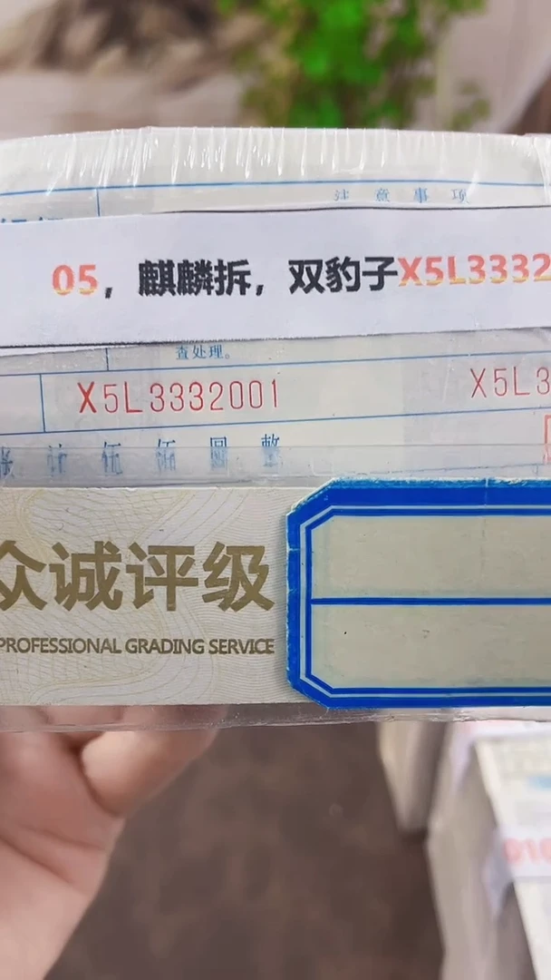 M，05，麒麟拆，双豹子X5L3332222