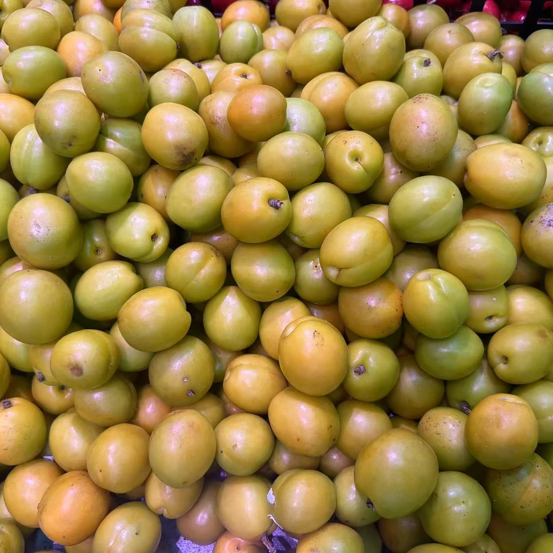 新疆油杏 1斤左右（水果）杏同城配送杏子同城送