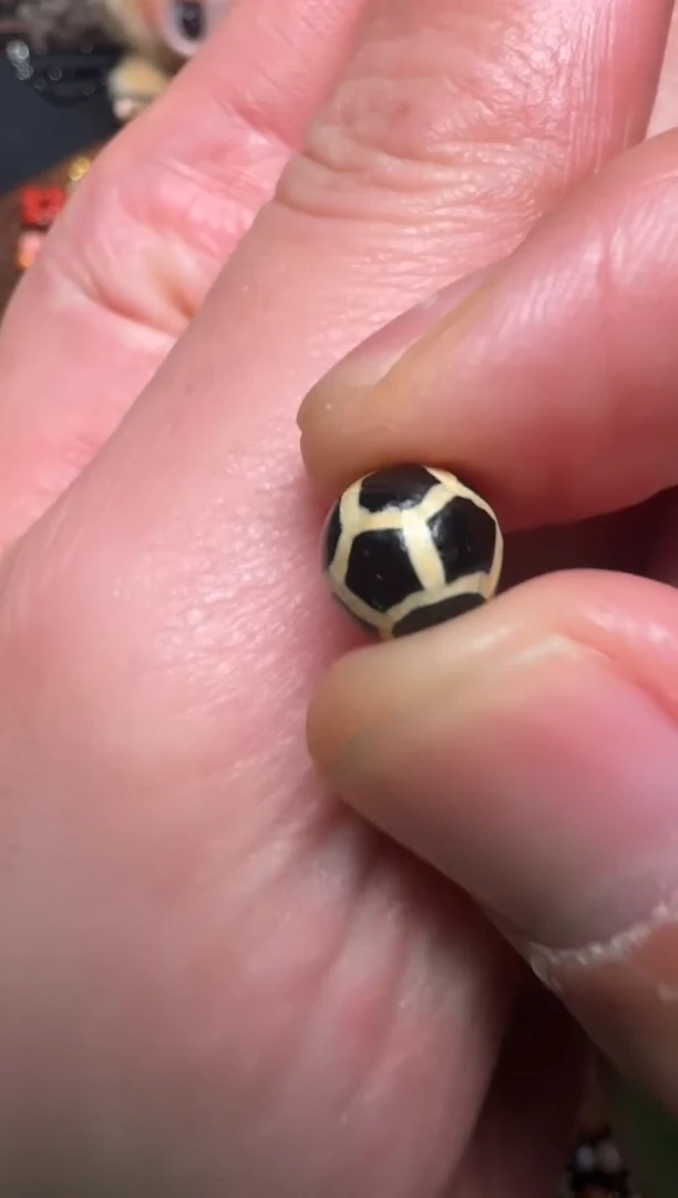 【闪购商品】玛瑙/玉髓颈饰未镶嵌珠改牙黄寿珠