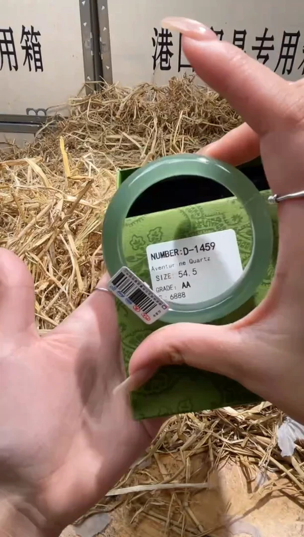 未镶嵌手镯石英质玉D1459LV