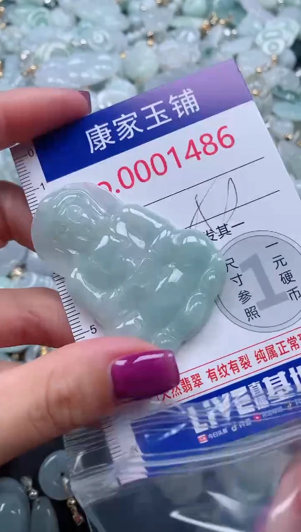 颈饰未镶嵌翡翠1486