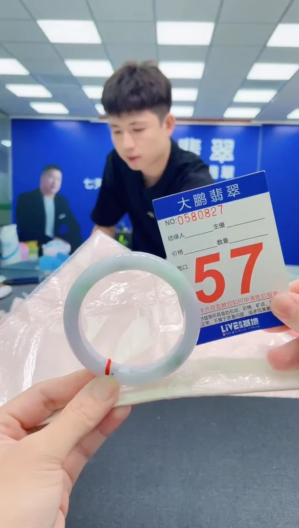 未镶嵌手镯翡翠AAAAAAAAA