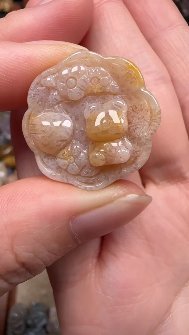 硅化珊瑚（珊瑚玉）未镶嵌颈饰081