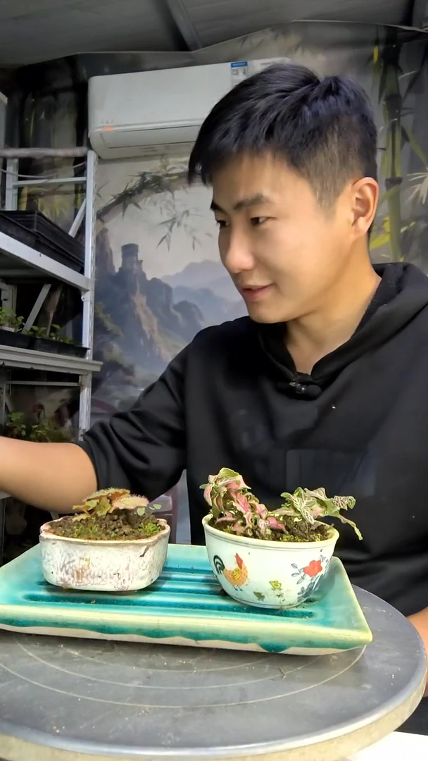 .*.中青园艺一物一拍83