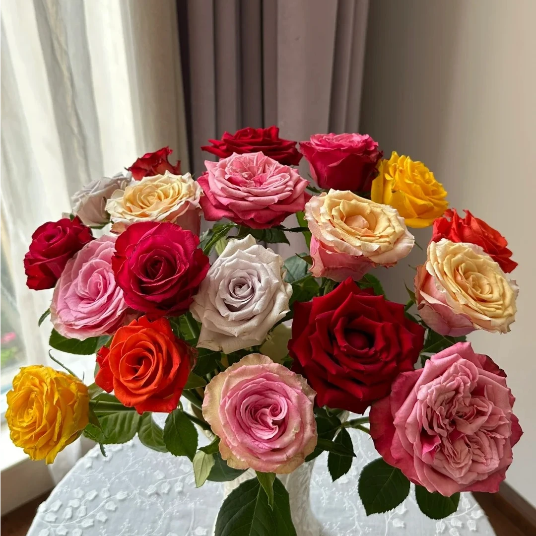 【混色彩拼玫瑰】云南斗南基地现采现发品质混合拼色玫瑰