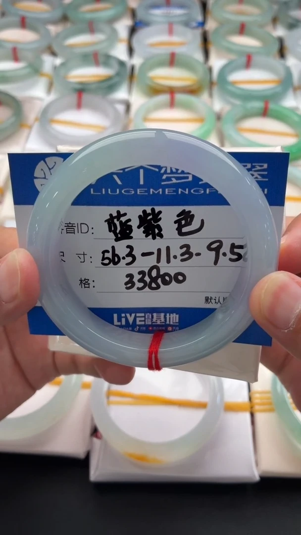 未镶嵌手镯翡翠蓝紫色 48小时鉴赏期
