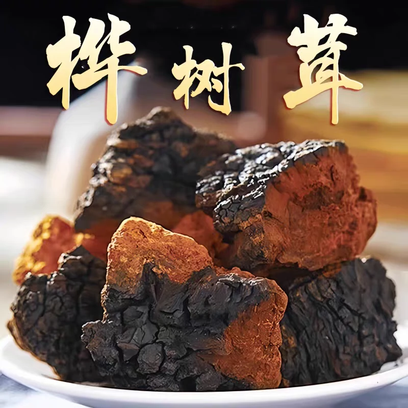 【原产地】长白山野生桦树茸煮水泡水血糖血脂血压营养。