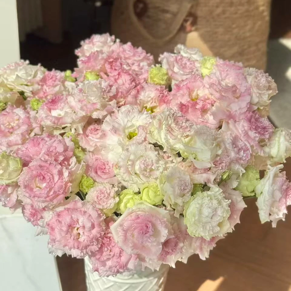 【次日达·冰淇淋洋桔梗】家居生活鲜花·全场任意两单顺丰送货上门·今天拍明天到·基地直发现采现发售后无忧
