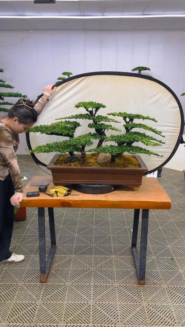 无花朵一物一拍一物一拍