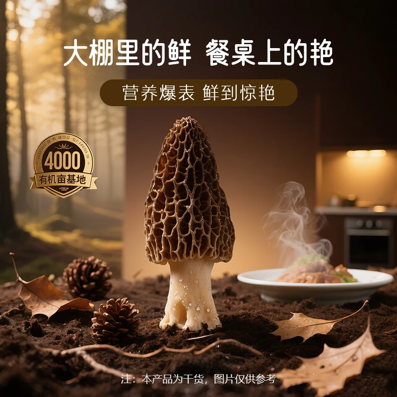 【苗乡绿源】沅陵当季头茬精品羊肚菌大个肉厚肥美干货煲汤包食材