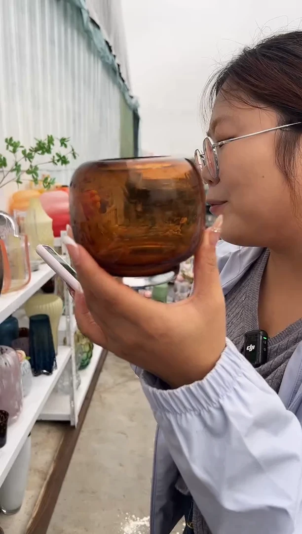 花瓶客厅餐桌插花装饰好物一只