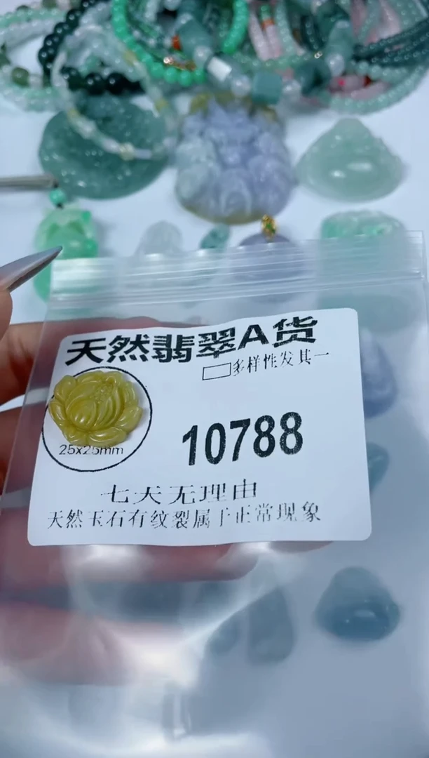翡翠未镶嵌颈饰10788