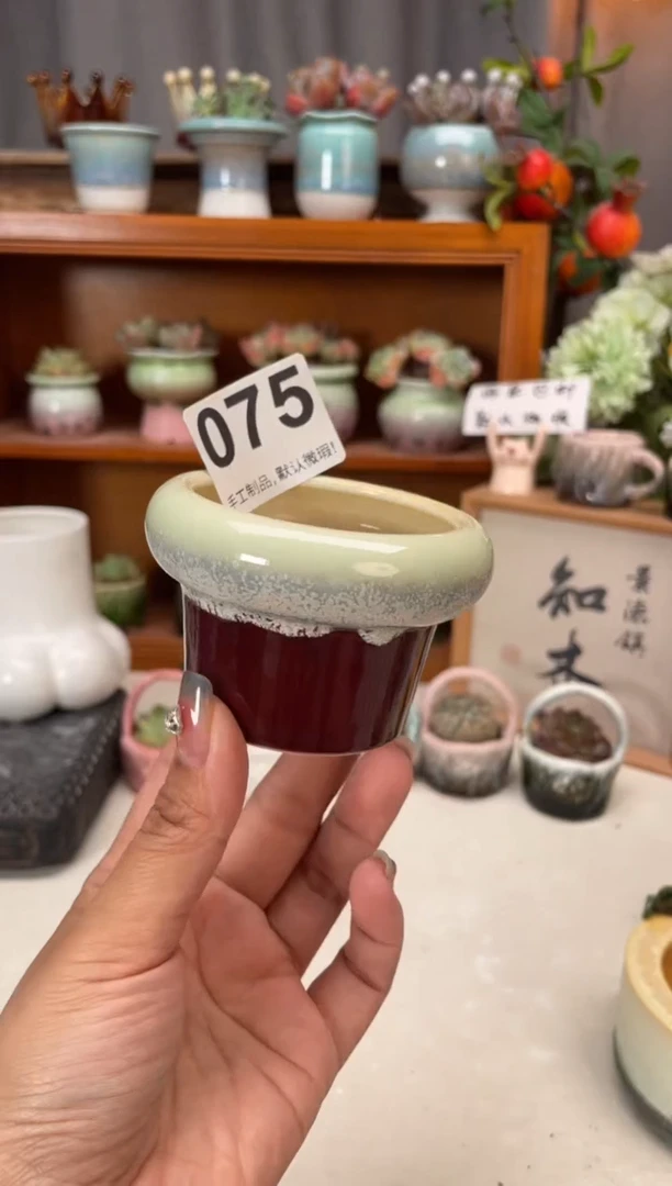 瓷片075小芳直播编号