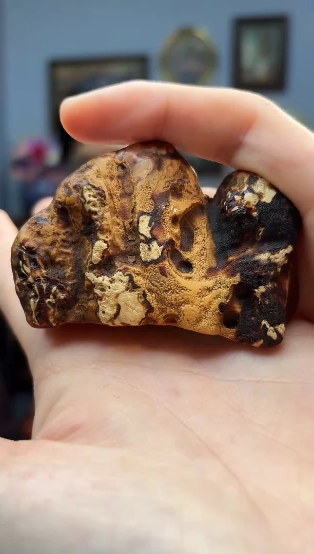 裸石琥珀未镶嵌原石